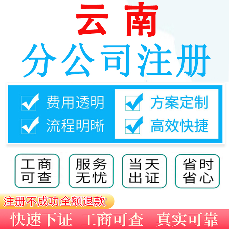 云南昆明大理分公司注册营业执照办理工商注册变更股权税务异常快