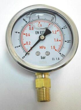 耐震压力表 直径61mm 压力16bar 1.6mpa leipai 精度1.6级 yn-63