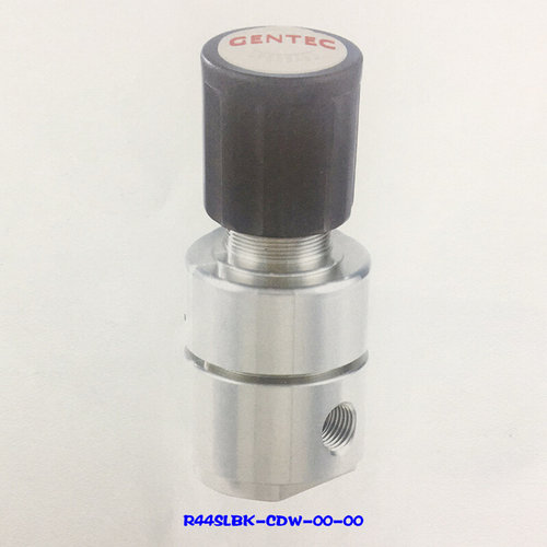 。捷锐不锈钢高压减压器R44SL系列活塞式减压阀GENTEC