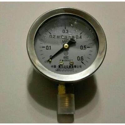 雷尔达 不锈钢外壳耐震压力表  YN-60 YN60 yn60i ytn-63 62mm