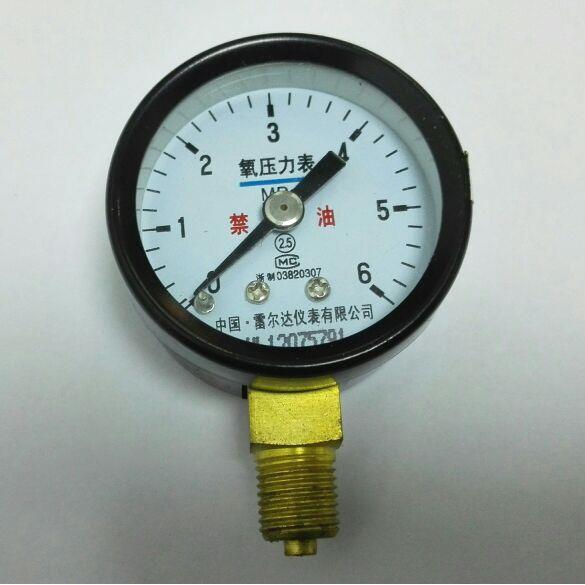 中国雷尔达仪表有限公司 氧气压力表 禁油 直径40mm 0-6mpa m10x1