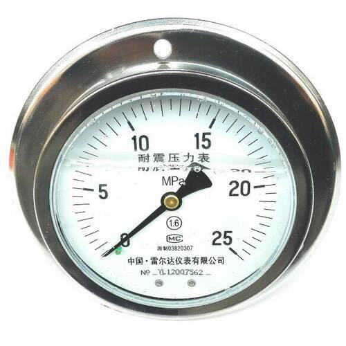 轴向带边耐震压力表 雷尔达牌 直径100mm 压力25mpa YN-100ZT iv