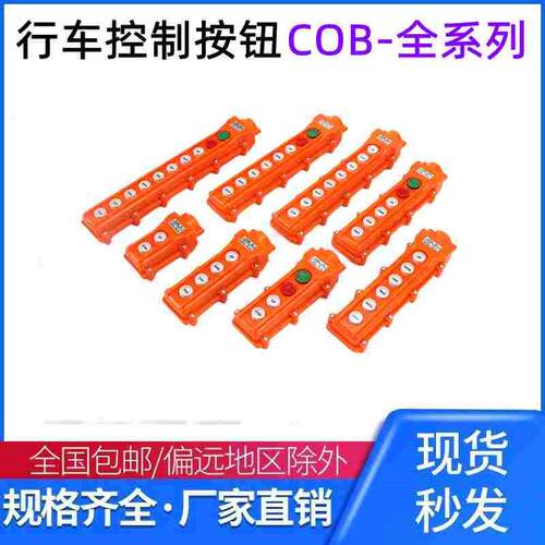COB-61A-62A-63A-64A防雨行车控制 开起重按钮 电动葫芦操作手柄