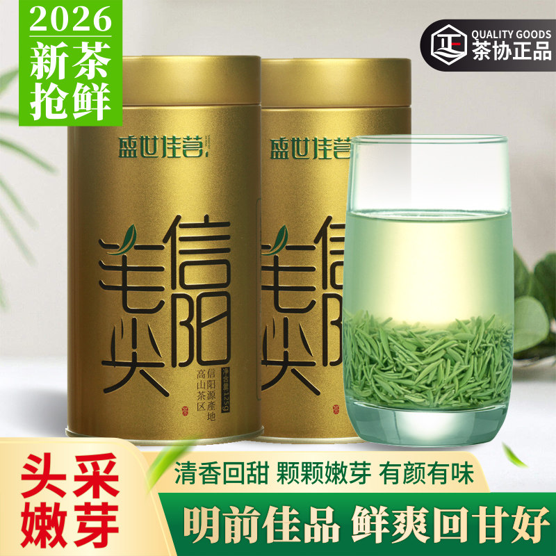 信阳毛尖2026新茶精品小芽图片