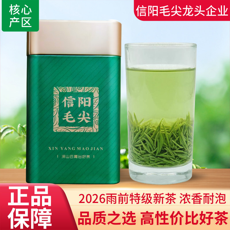 信阳毛尖特级嫩芽2026新茶浓香型图片