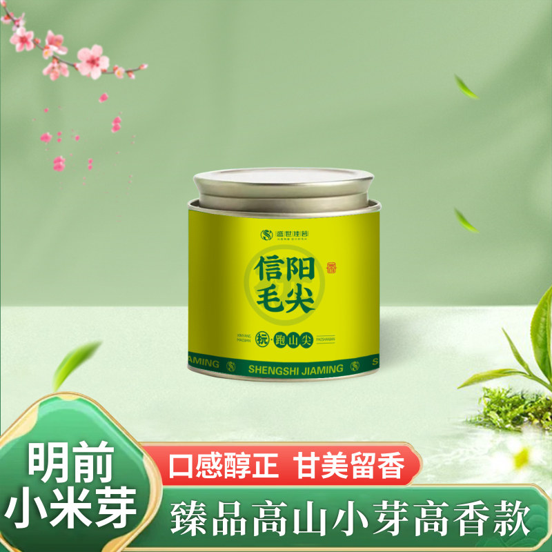 明前信阳毛尖特级头采嫩芽跑山尖图片