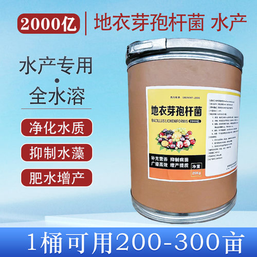 2000亿地衣芽孢菌杆水产养殖净化水质瘦水降解氨氮分解水藻绿水
