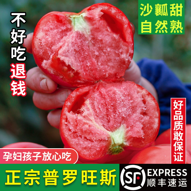 陕西水果西红柿5斤普罗旺斯孕妇当季沙瓤西红柿新鲜生吃番茄蔬菜b