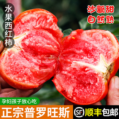 【官方甄选】普罗旺斯水果西红柿