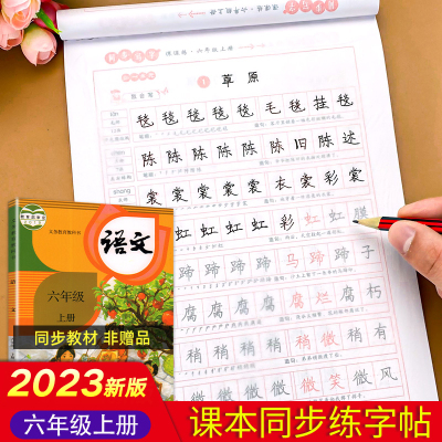 六年级上册语文同步字帖练字帖人教版写字练字专项训练小学6年级上钢笔临摹硬笔书法练习小学生笔画笔顺描红本部编版教材每日一练