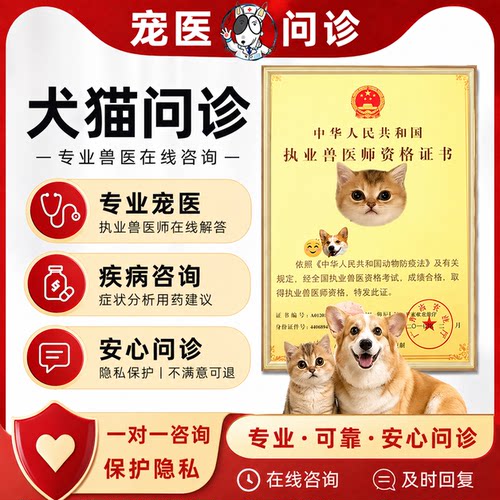 宠物医生宠物线上问诊犬猫24小时