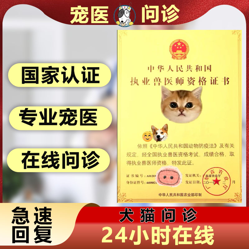 宠物医生宠物线上问诊犬猫24小时