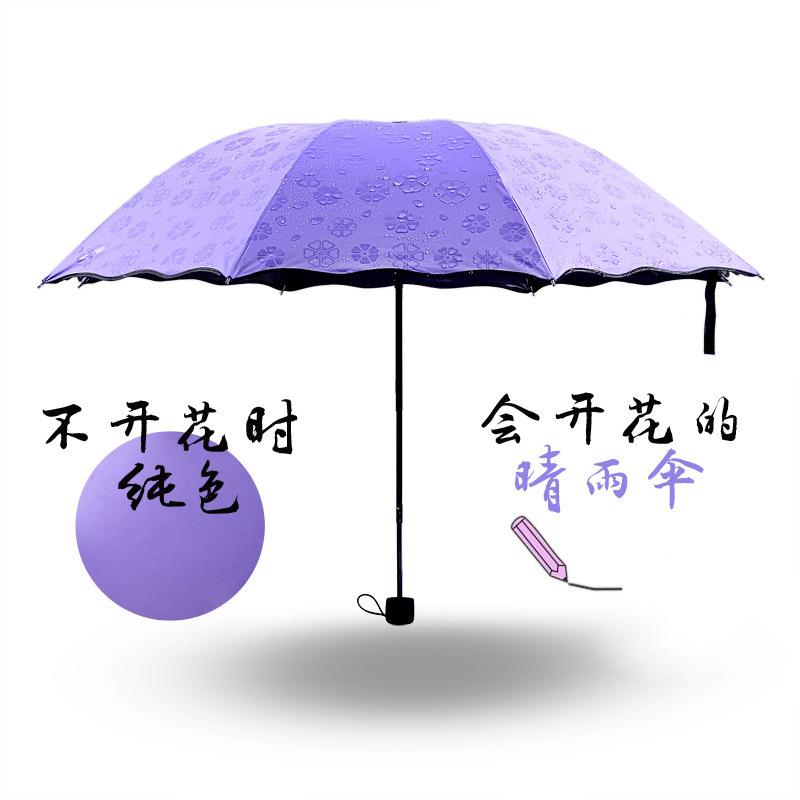 黑胶伞遇水开花晴雨伞黑胶防晒