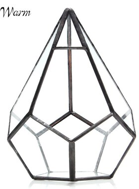 Modern Irregular Glass Geometric Terrarium Box Tabletop Succ