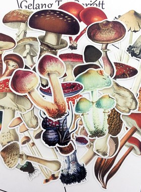 25pcs Hand Drawing Colorful Mushroom sticker dry glue Notebo