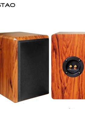 IWISTAO 3 Inches Full Range Speaker Empty Cabinet Passive Sp