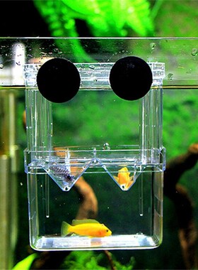 Hygienic Durable Fish Breeding Boxes Double Hatching Incubat