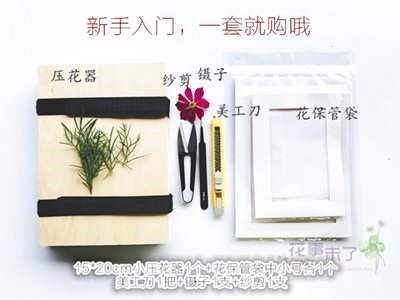 Hand-made lavender flowers baby plant decoration set gift