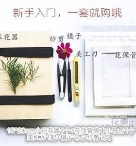 Hand-made lavender flowers baby plant decoration set gift