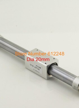 CY1B20/CY3B20 RMS  Rodless Pneumatic Cylinder CY1B20-100 CY1