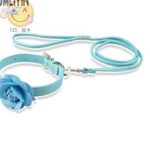 Cute Cat PuPPy Dog Leather LeaSh FLower CoLLar Set Pink CoLo