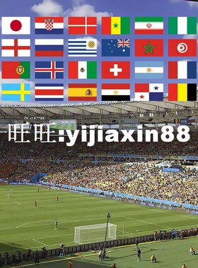 Hand held flags with poles 32 Countries Small Hand National