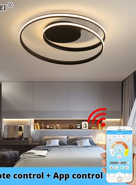 Modern Ceiling Lights LED Lamp  Living Room Bedroom Study Ro