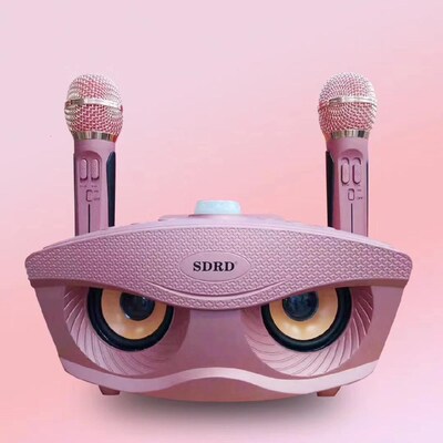 SD306 Dual Wireless Microphone Bluetooth Speaker Mobile Wir
