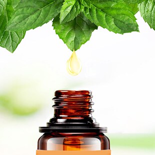 Lily Peppermint Essential Oil Pure Natural 10ML Pure Essent