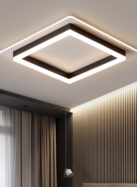 Modern ceiling lights for hallway balcony corridor Coffe whi