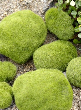 Simulation Moss False Green Stone Rock Lichen Plant Miniatu