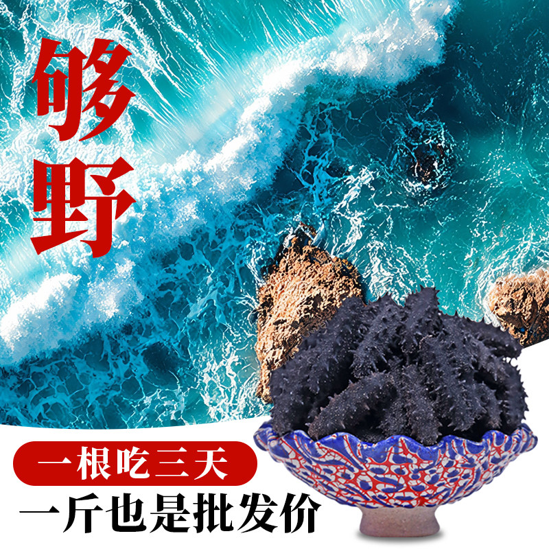 国标正品 锦食岛大连海参干货500g特价辽参9年官方旗舰店海参礼盒