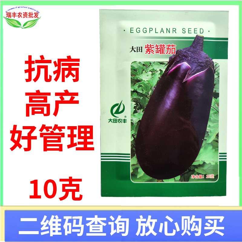 大田紫罐茄罐茄子种子10g青大冠茄籽纯度好产量高好吃春季蔬菜