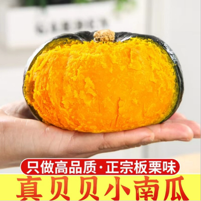 贝贝南瓜4.5斤 板栗口感粉糯香甜小南瓜2