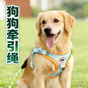 背心式金毛狗狗牵引绳胸背大型犬栓狗绳调节链子背带大狗防挣脱通