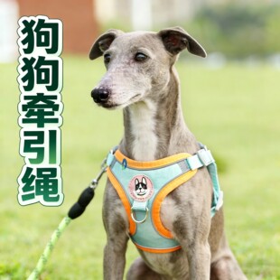 背心式灵缇狗狗牵引绳胸背防挣脱背带栓狗绳调节通用链子大狗大型