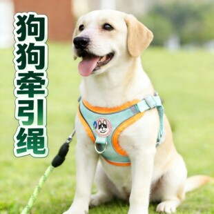 背心式拉布拉多狗狗牵引绳胸背背带调节防挣脱链子栓狗绳大型犬大