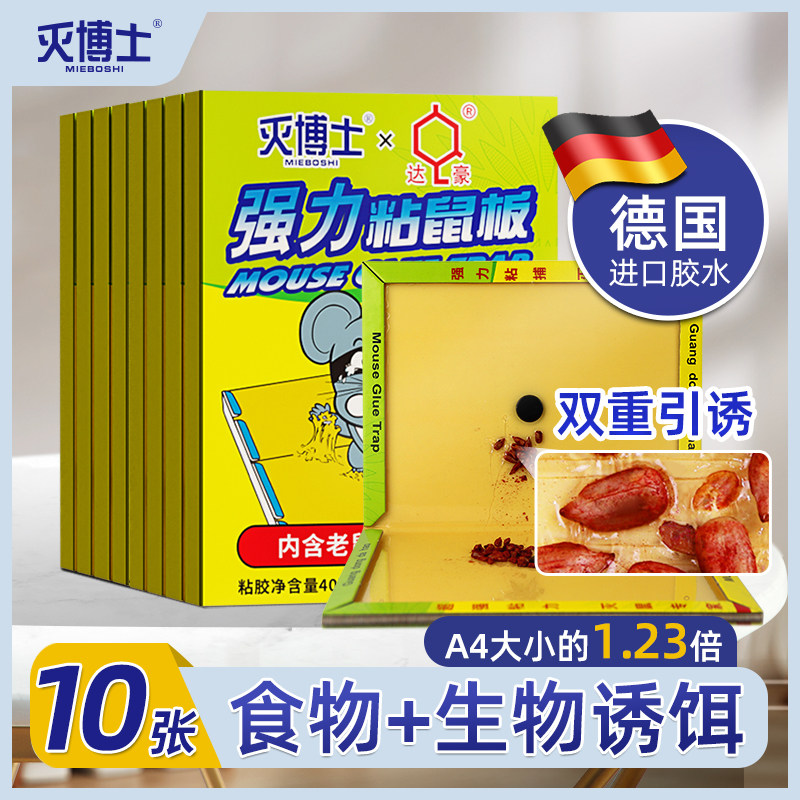 【瓜子引诱】专粘大老鼠