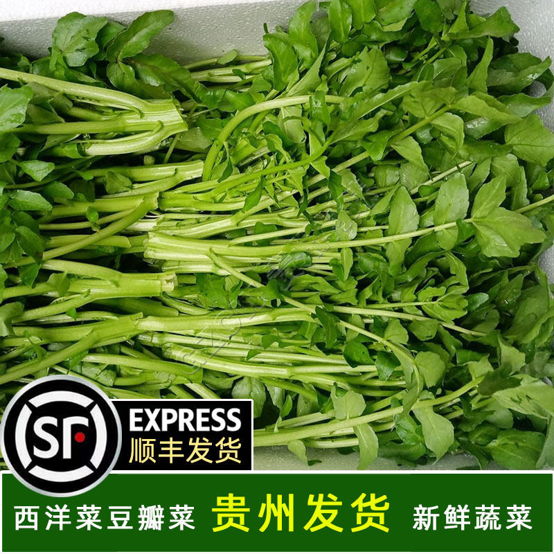 贵州高山泉水新鲜豆瓣菜西洋菜