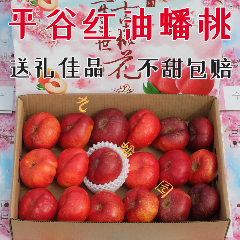 现摘九蟠园平谷油蟠桃红油蟠纽扣红蟠桃北京桃子当季新鲜水果礼盒