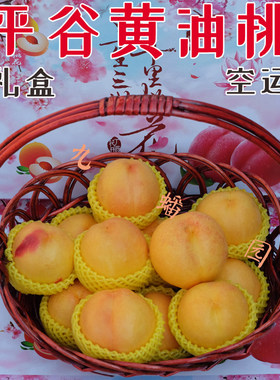 现摘平谷黄油桃黄金油桃澳油黄桃脆桃北京大桃当季桃子新鲜水果