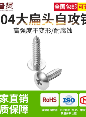 304大扁头自攻2.9 3.5 3.9不锈钢自攻螺丝蘑菇头大伞头圆头1122T
