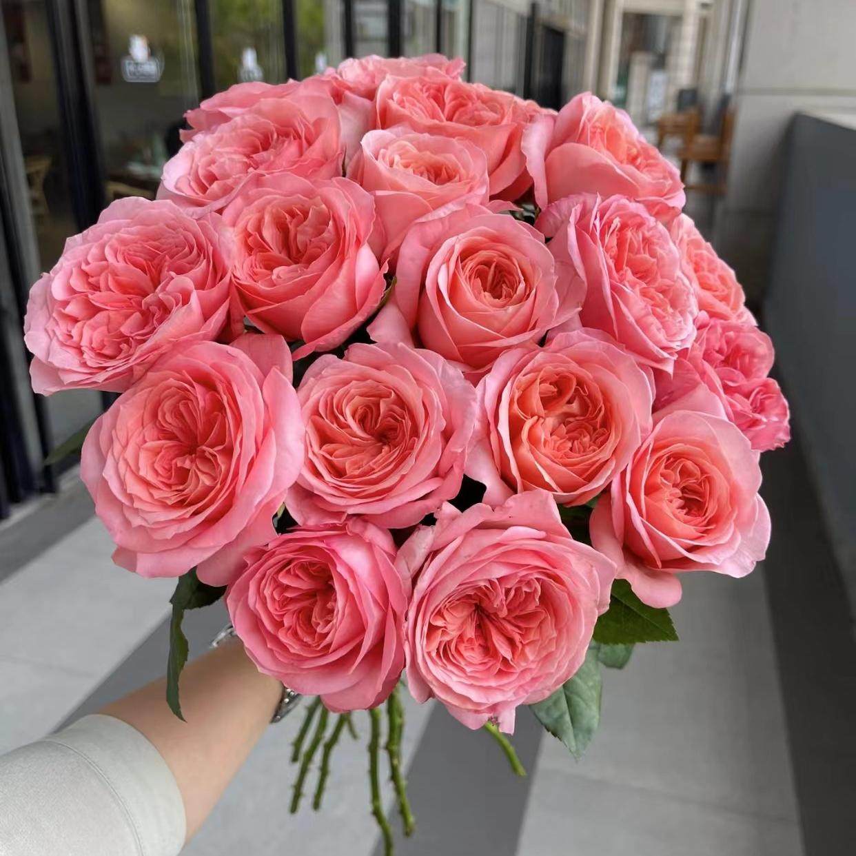 伦敦眼/普瑞馨 大花直立月季小苗 玫瑰绿植花卉盆栽阳台地栽花,鲜花速递/花卉仿真/绿植园艺,月季/蔷薇/玫瑰,淘宝优惠券,粉丝福利购,淘宝优惠卷