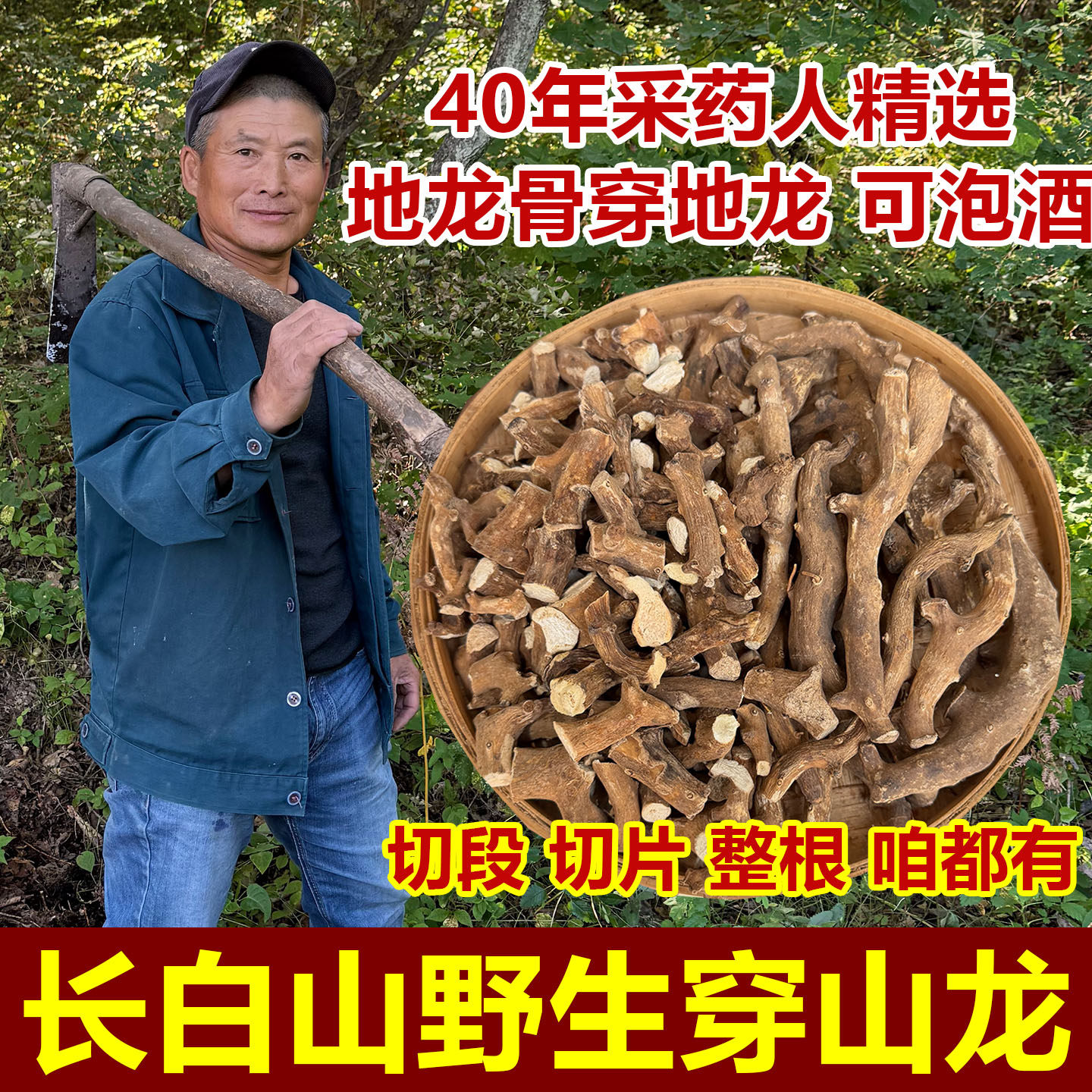 野生穿山龙中药材穿地龙晒干切段