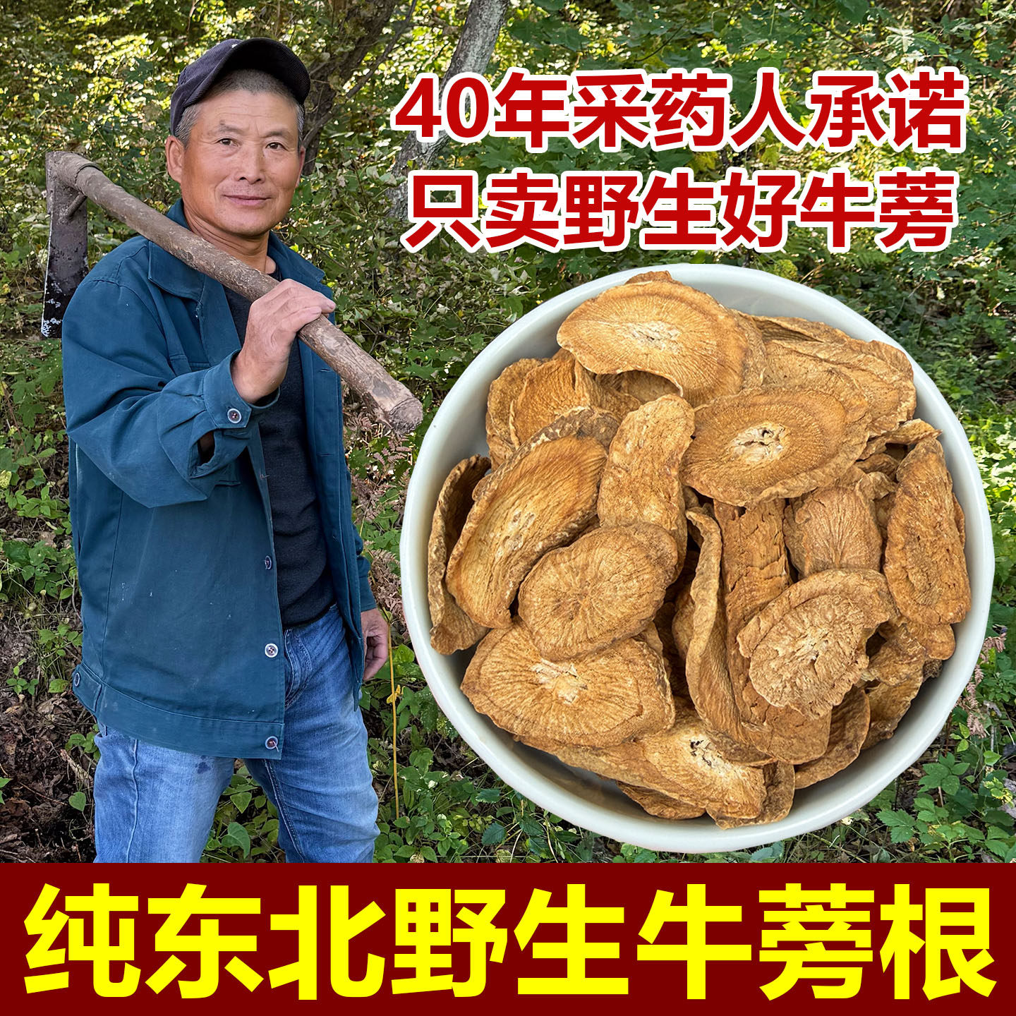 野生牛蒡根中药材深山采挖无硫新货牛蒡根新货可磨粉黄金牛蒡片茶