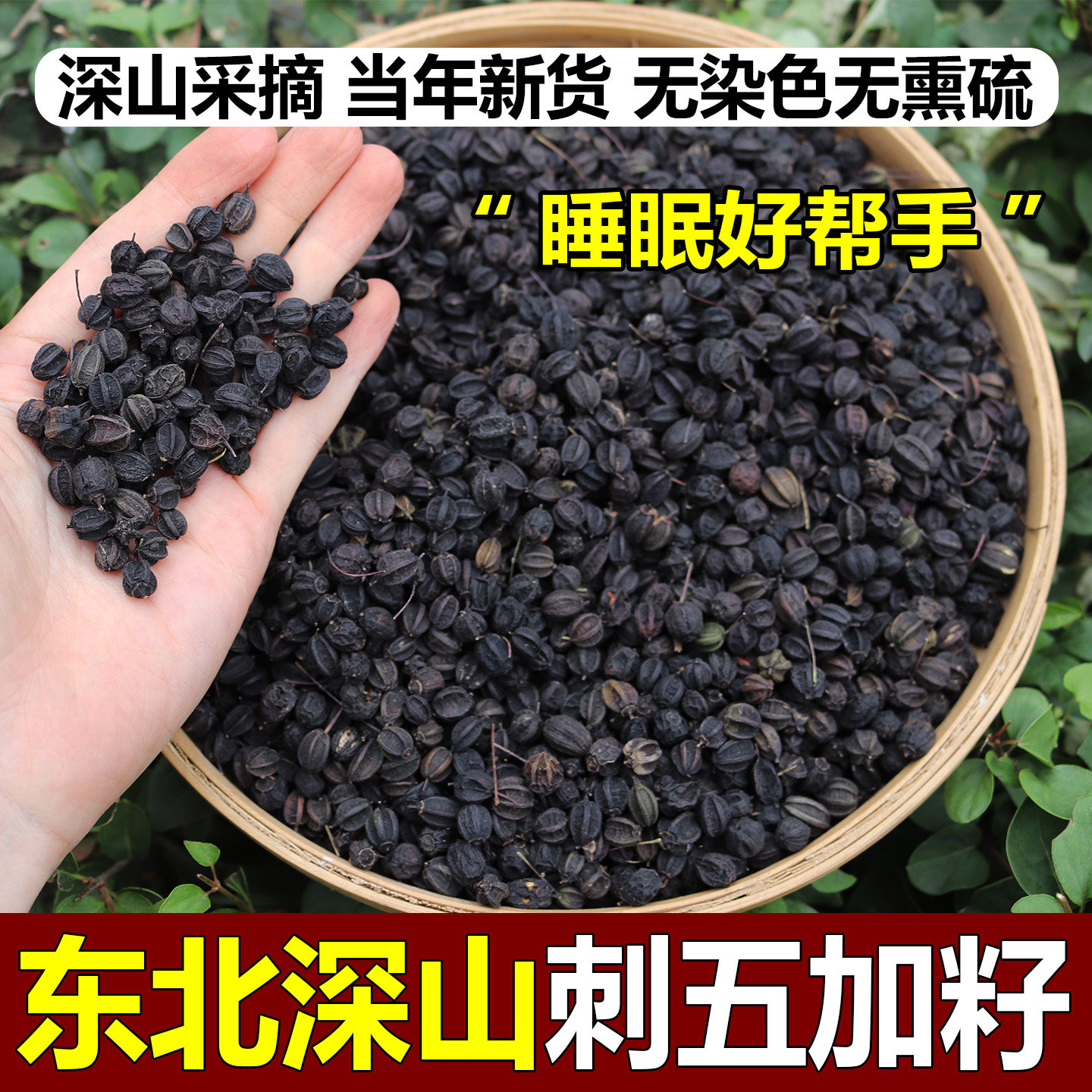 刺五加籽东北新鲜无硫干货中药材精选新货刺五加果泡酒泡茶代打粉