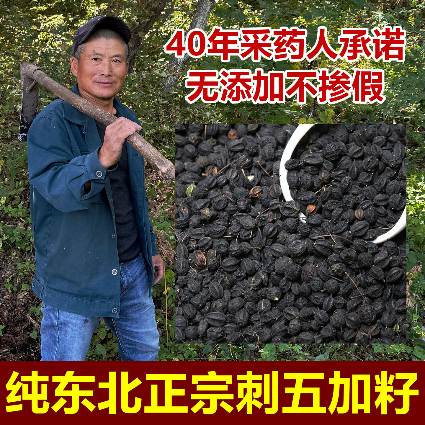 东北刺五加籽500g精选干货中药材