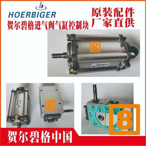 贺尔碧格 进气阀 HAK85-5-1383933  HOERBIGER 空压机配件 香港