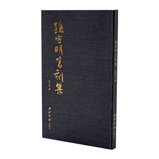 孙宇明篆刻集战国古玺、秦汉官私印英文入印楔形文字入印儿童涂鸦、楔形图案以及简笔画引入西泠印社孙宇明著