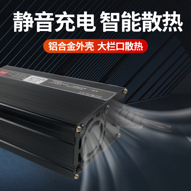 电动堆高机搬运车配件DL得龙加液免维护充电器(220V)充电机12V48V